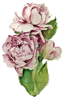 Roses from Jane Davenport's DS DotCard